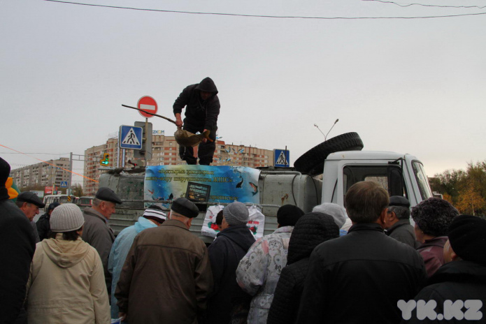 Эх, хвост, чешуя (+фото)